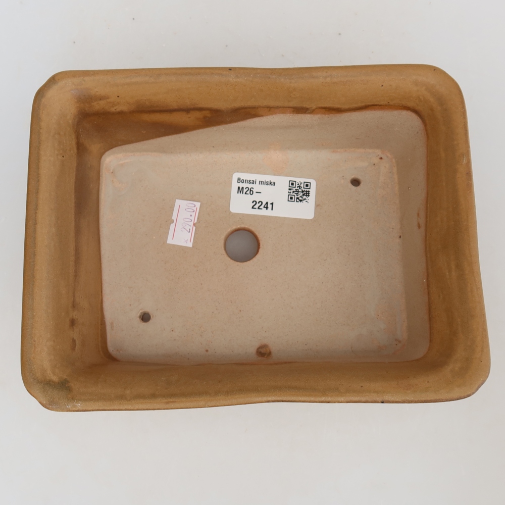 Keramische bonsaipot 18 x 14 x 7 cm, kleur: beige