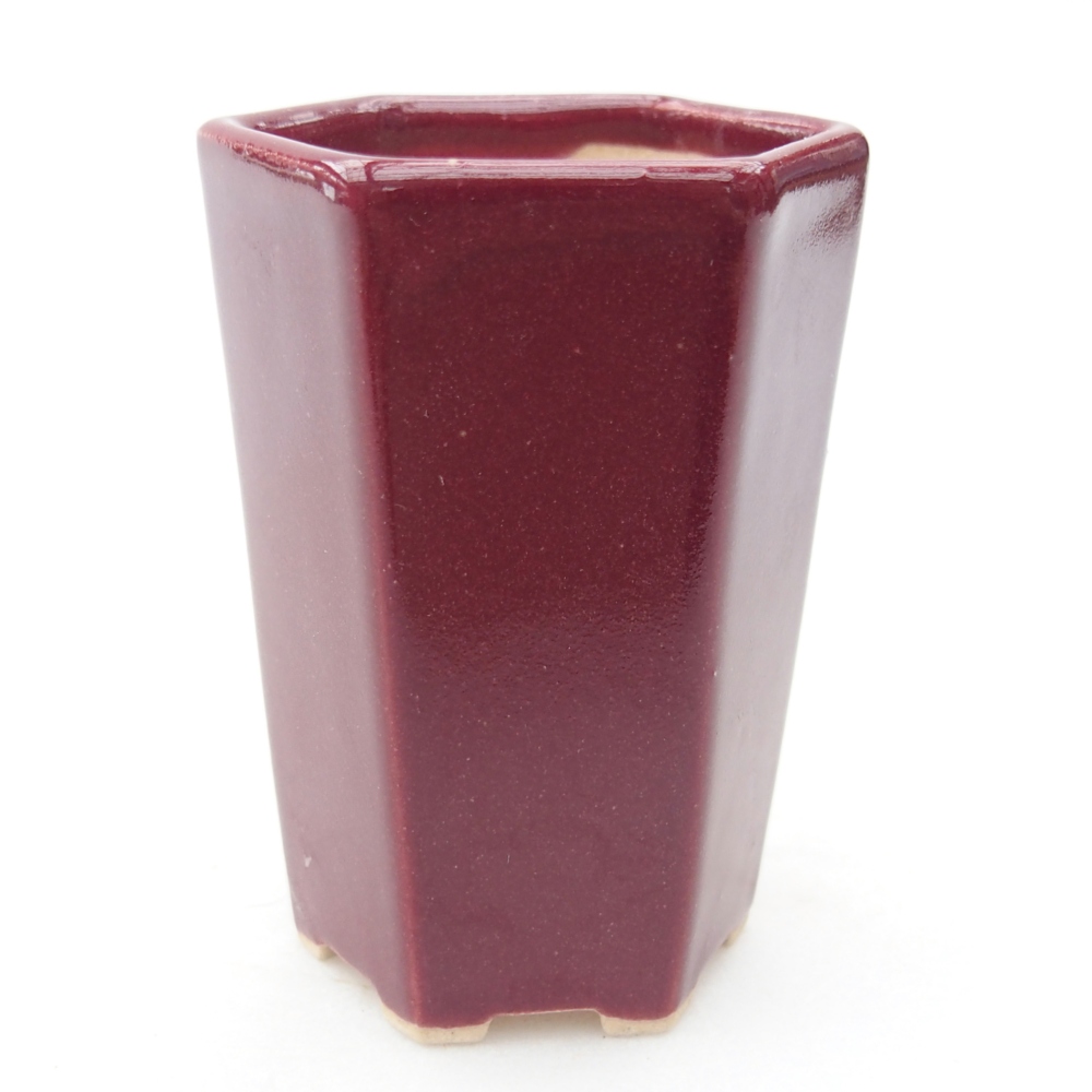 Mini bonsaischaal 5 x 4,5 x 6,5 cm, bordeauxrood