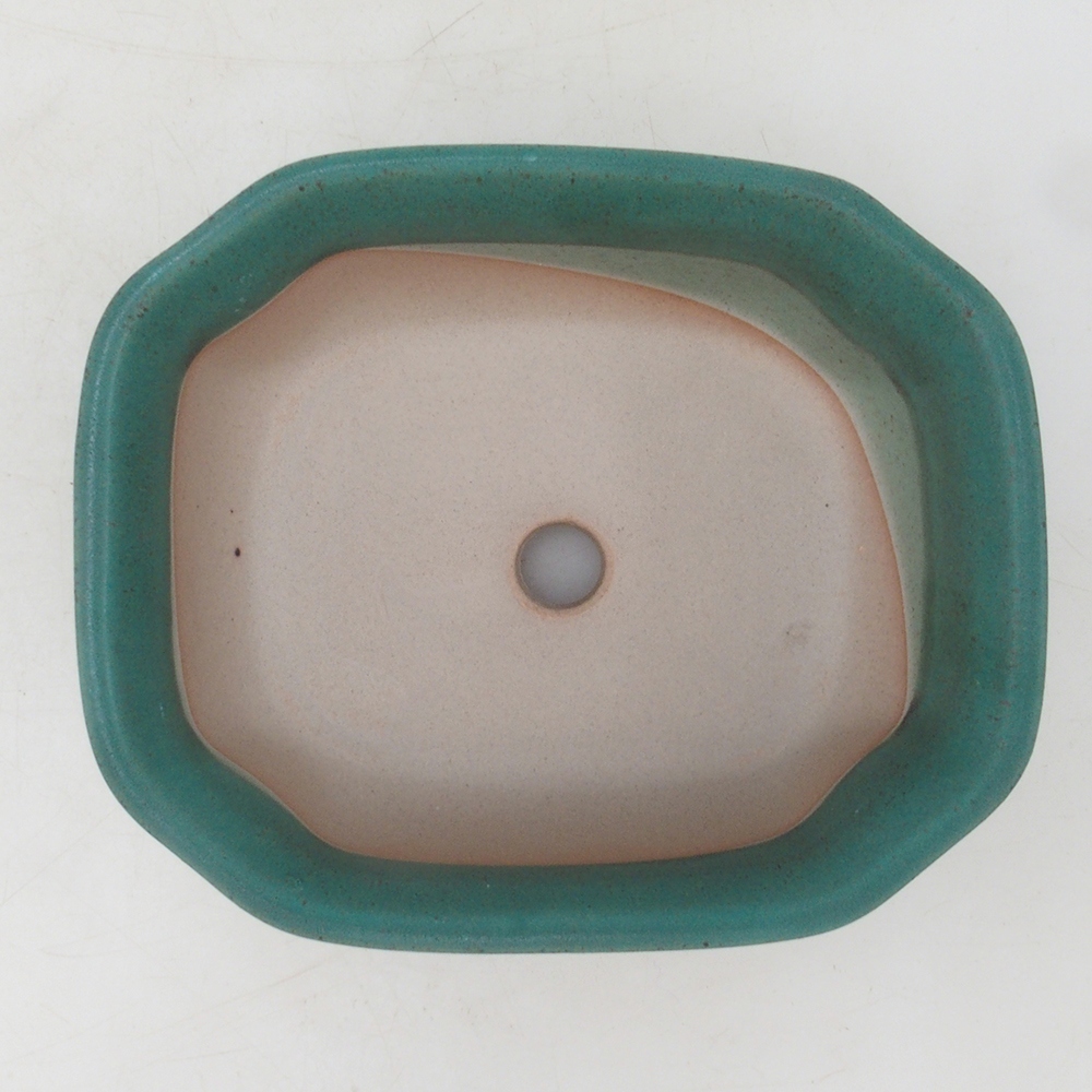 Bonsai kom H31 - 14 x 12 x 5,5 cm - groen