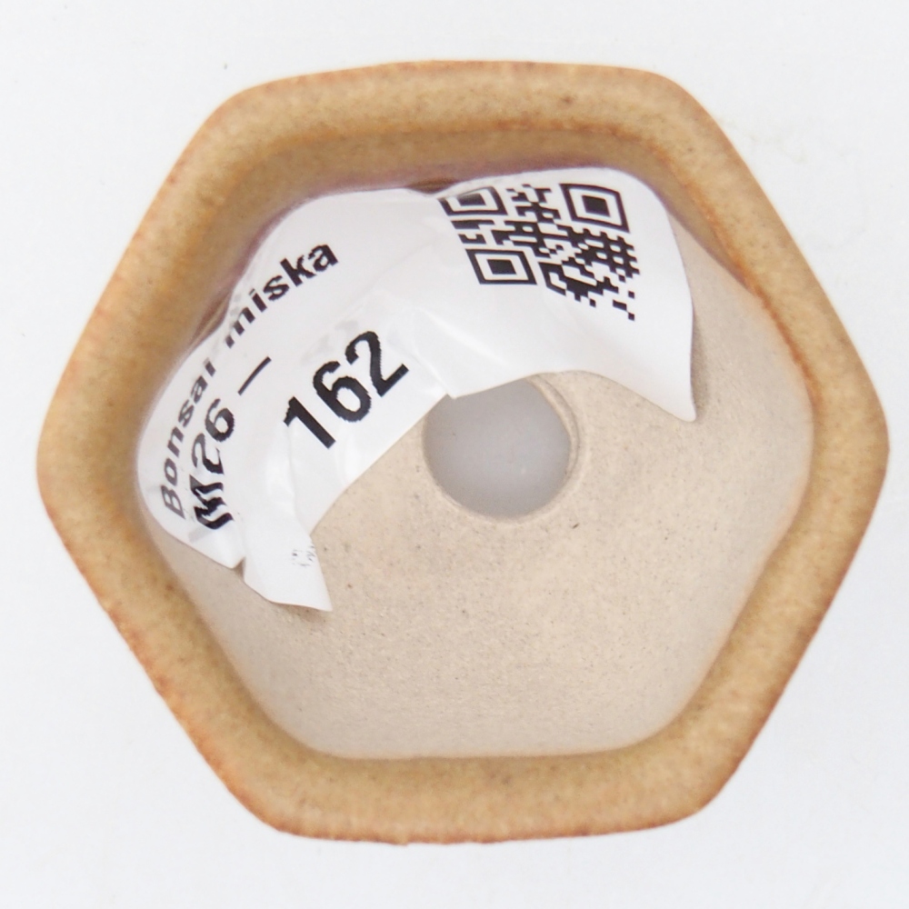 Mini bonsaischaal 4 x 3,5 x 3 cm, bruin