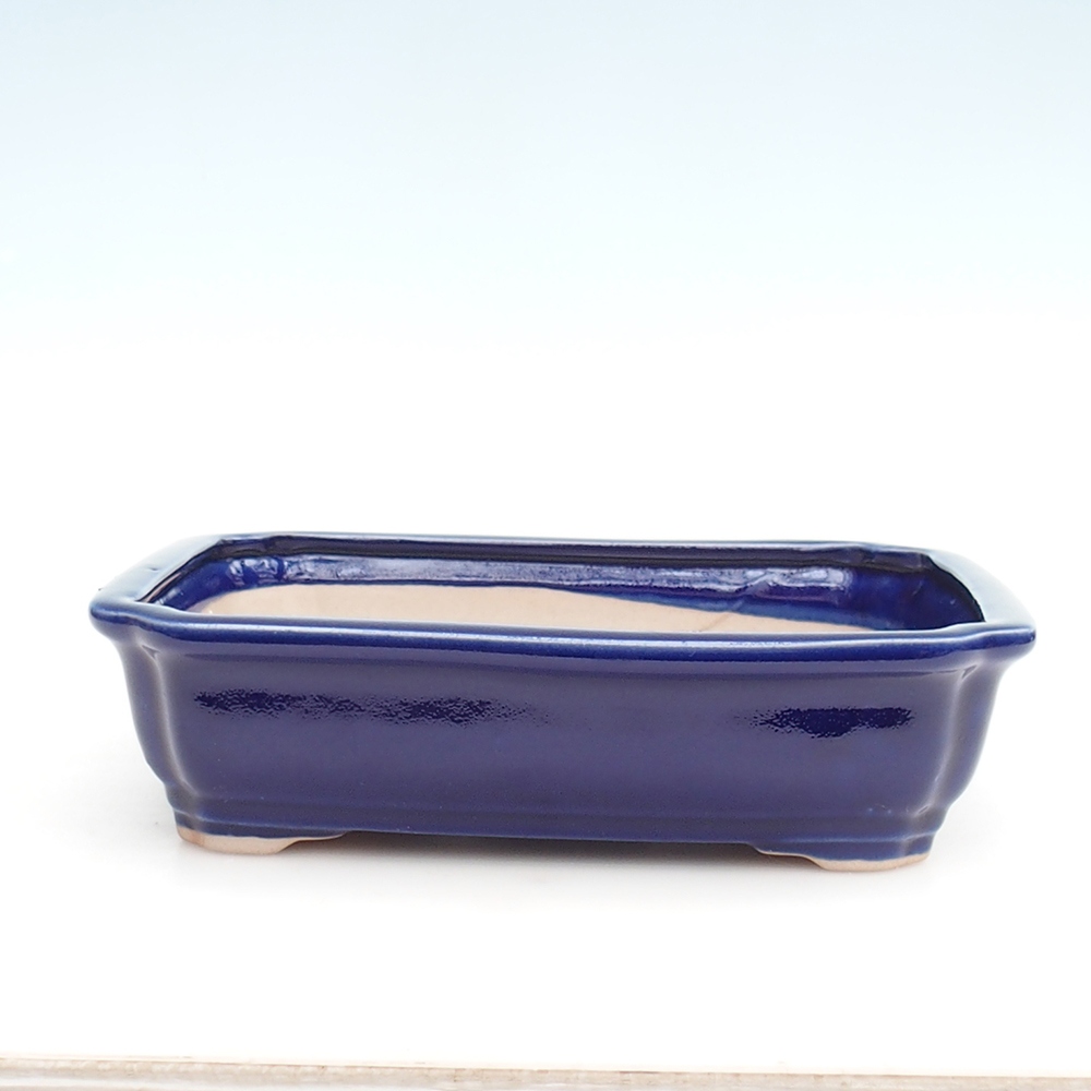 Bonsaischaal + schotel H07 - 30 x 20,5 x 8 cm.