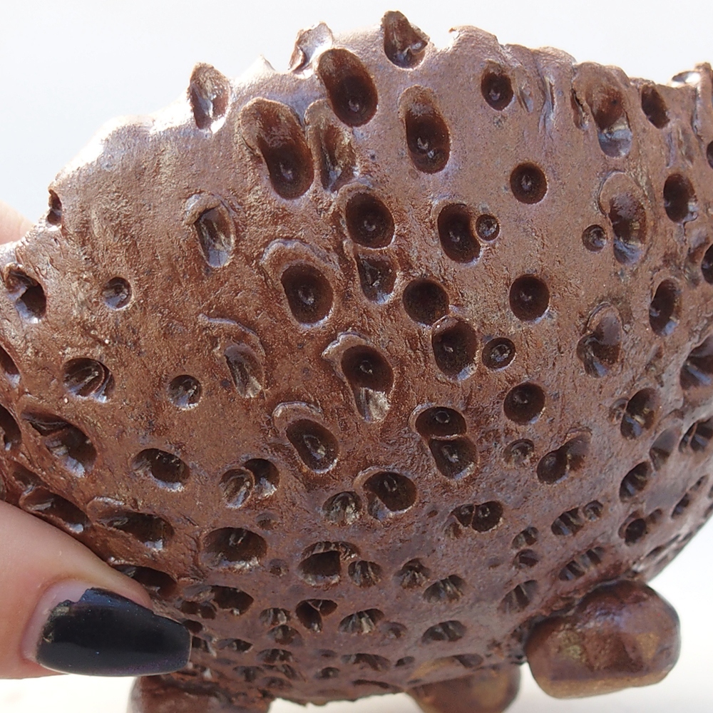 Keramisch Schelp 12,5 x 12,5 x 9 cm , kleur bruin