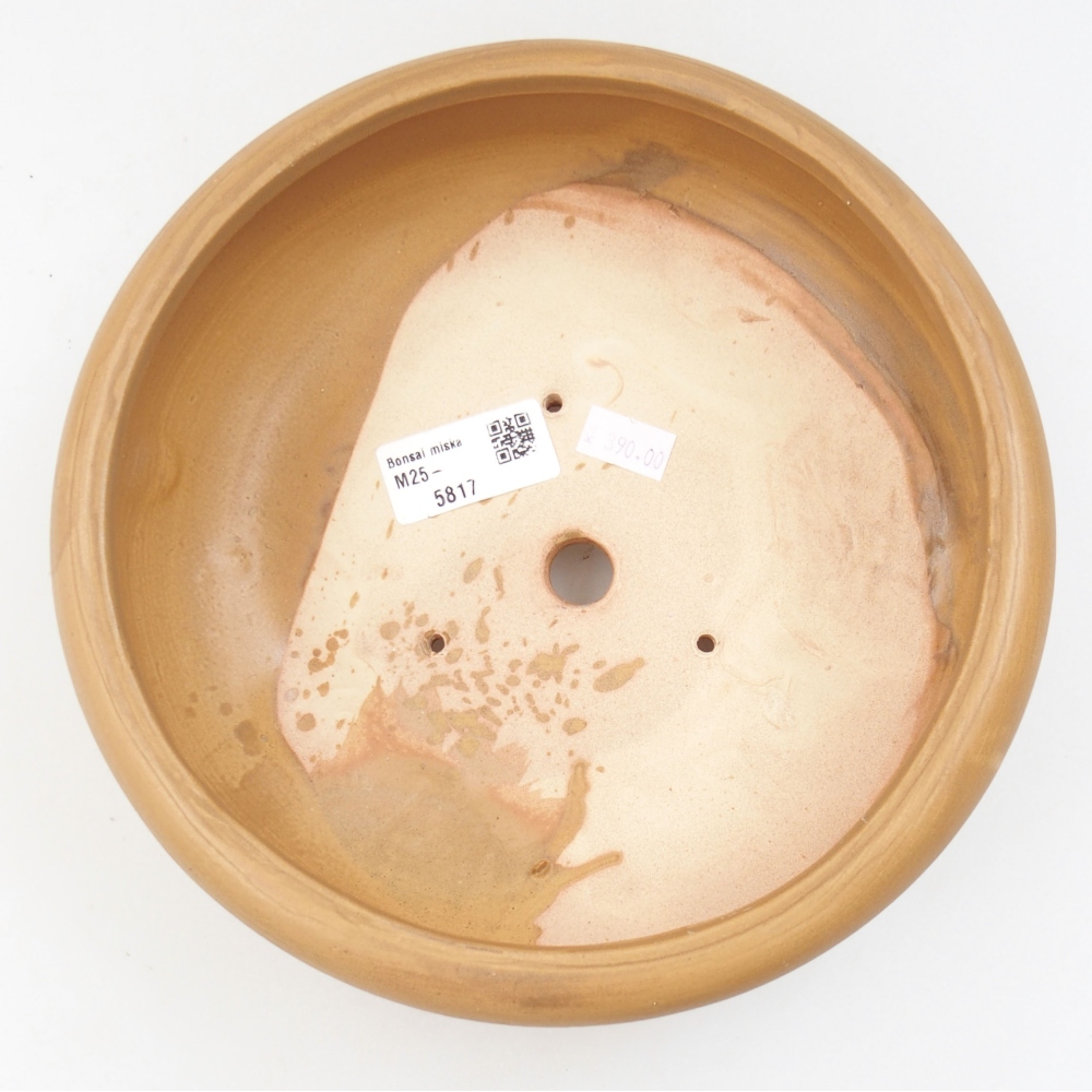 Bonsaischaal van keramiek 21 x 21 x 7,5 cm, kleur beige