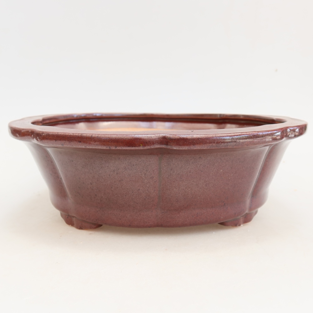 Bonsaischaal van keramiek 26 x 26 x 8 cm, bordeauxrood