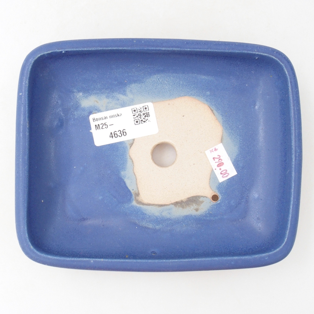 Bonsaischaal van keramiek 17 x 13,5 x 3,5 cm, kleur blauw