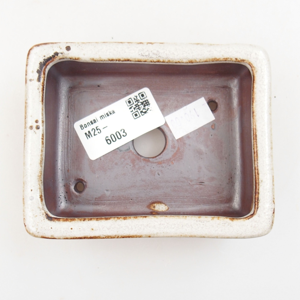 Bonsaischaal van keramiek 22 x 17 x 5 cm, groen