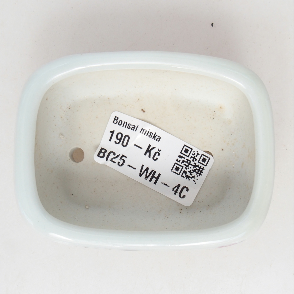 Mini bonsaischaal 8 x 6 x 3 cm, wit