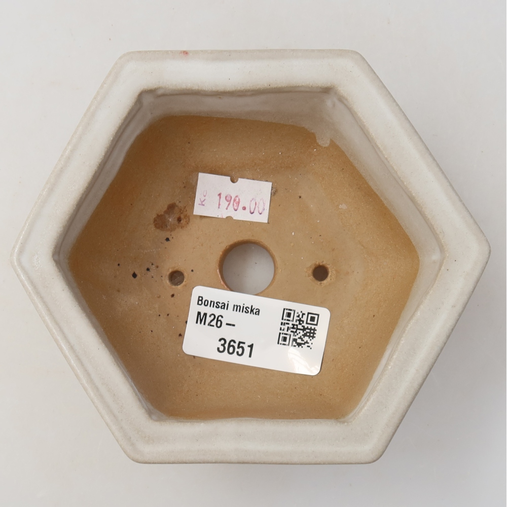 Keramische bonsaipot 12 x 10,5 x 4,5 cm, kleur: wit