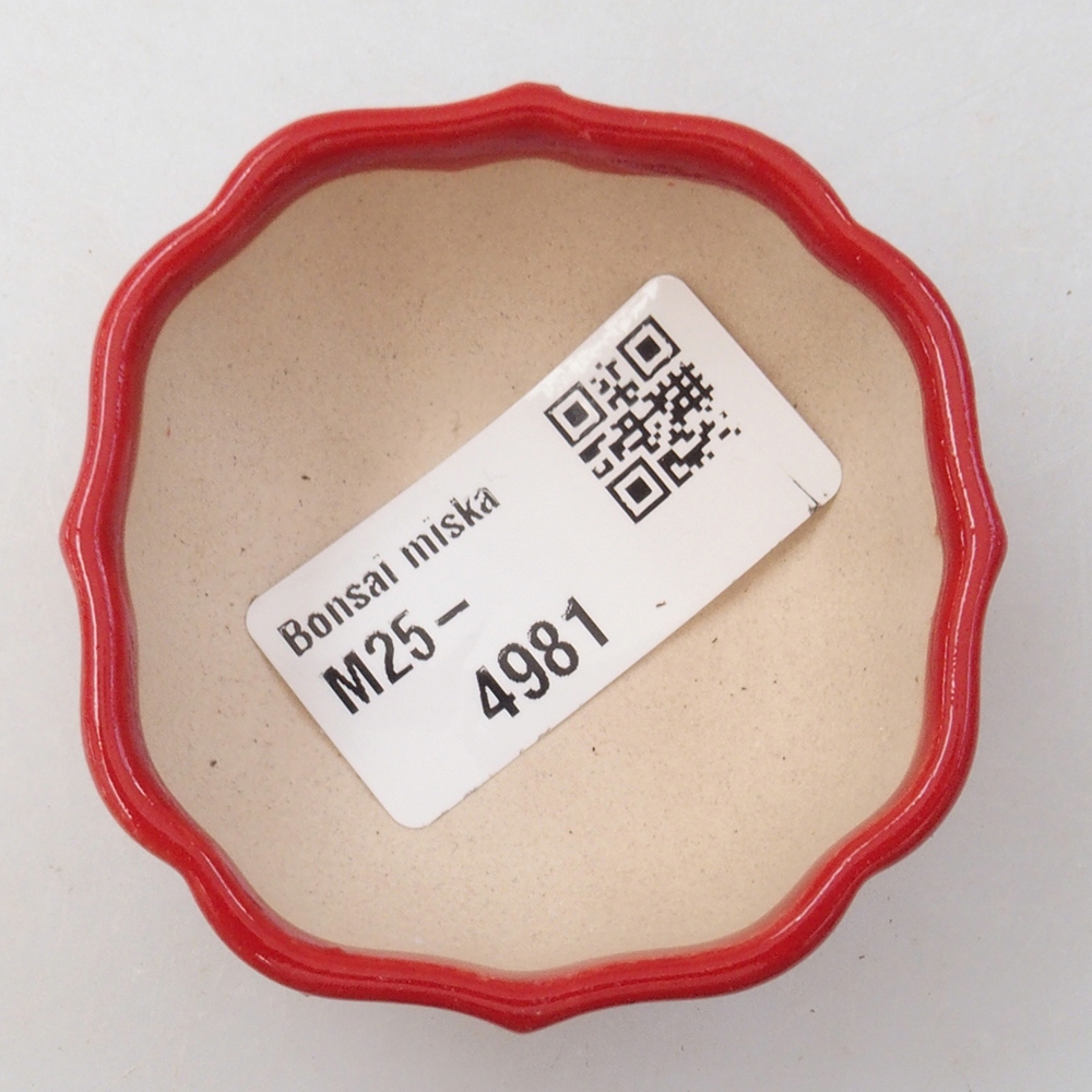 Mini bonsaischaal 6 x 5,5 x 2,5 cm, kleur rood