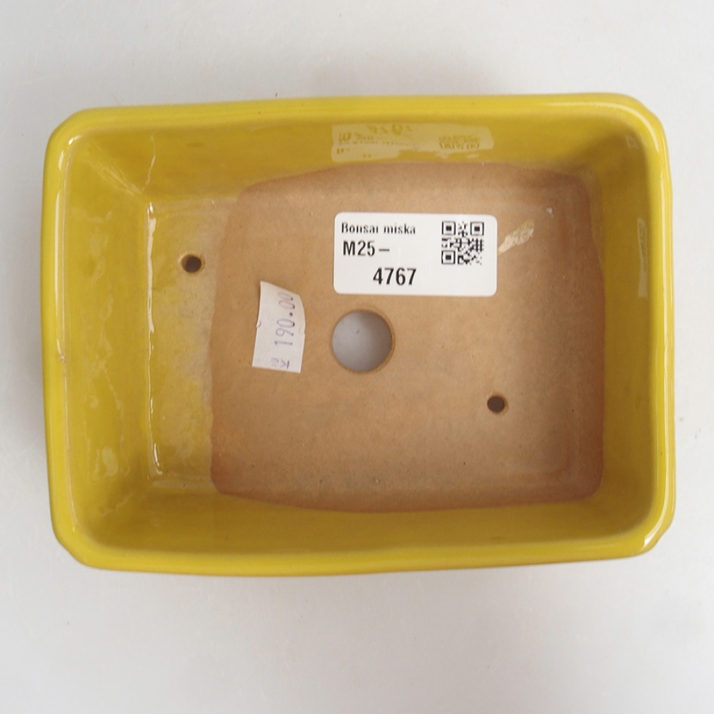 Bonsaischaal van keramiek 13 x 10 x 5 cm, geel