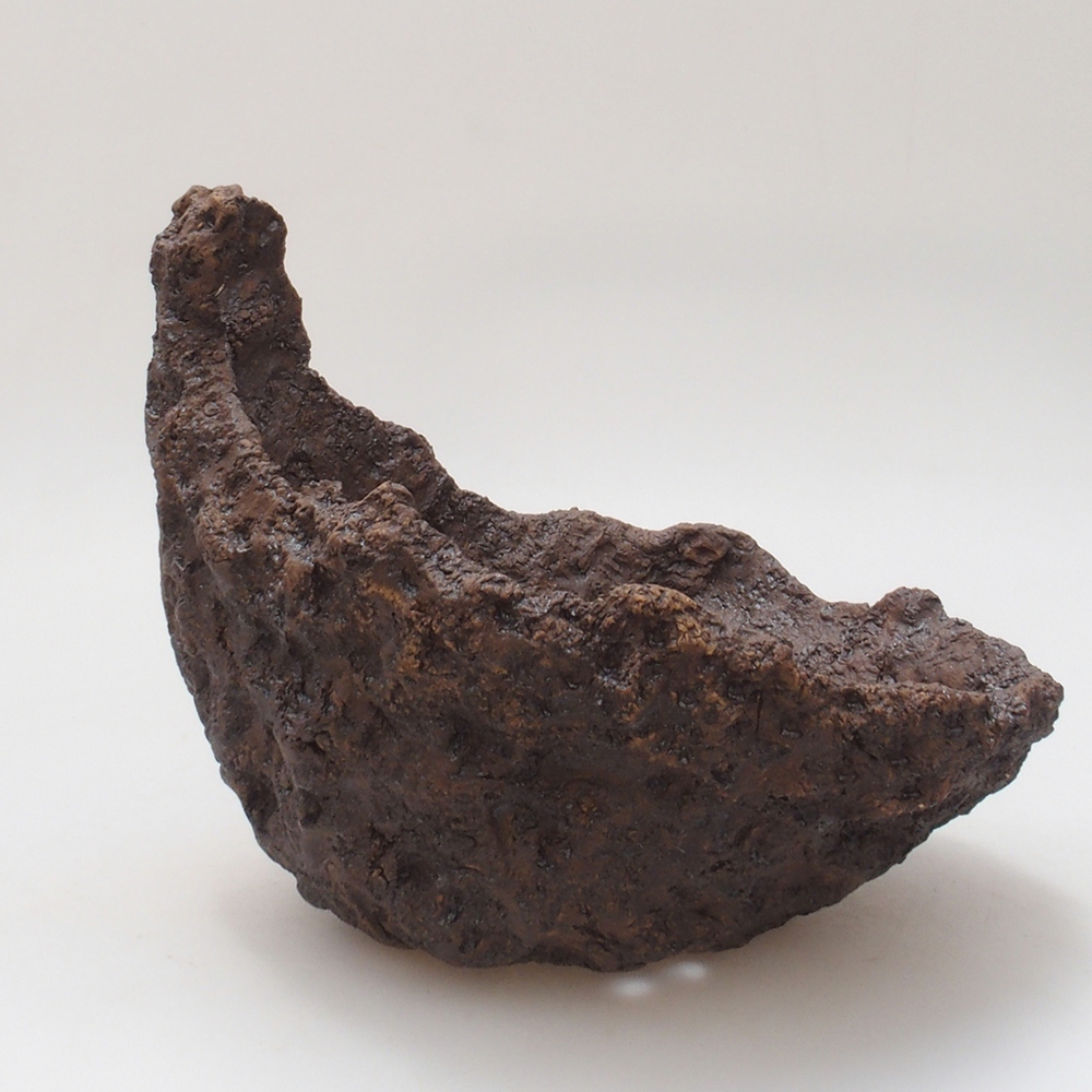 Keramisch Schelp 18 x 17 x 17,5 cm , kleur bruin