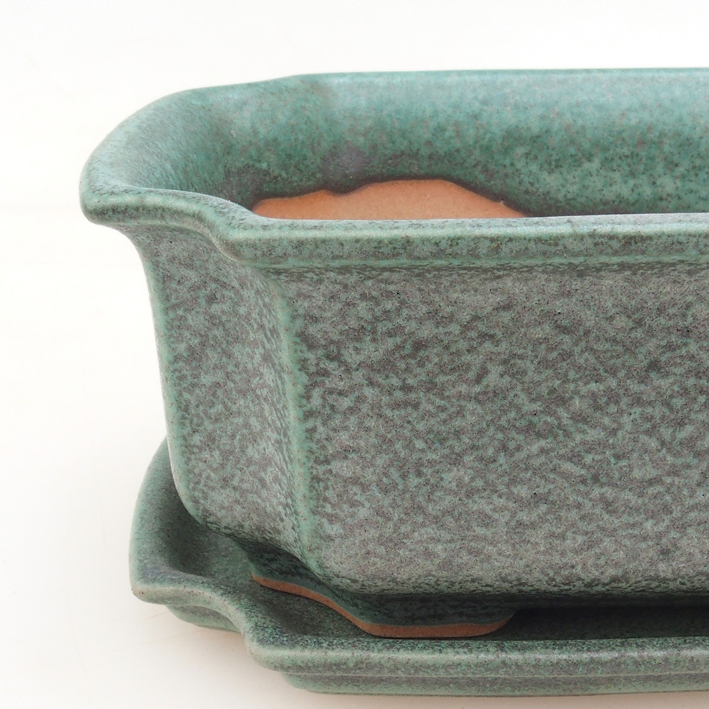 Bonsaischaal + schotel H01 - groen