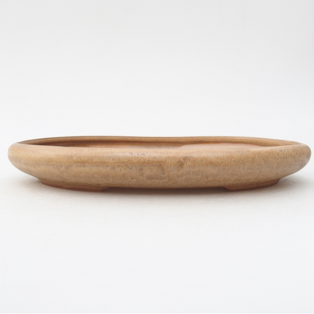 Bonsaischaal van keramiek 22,5 x 16,5 x 3 cm, kleur beige