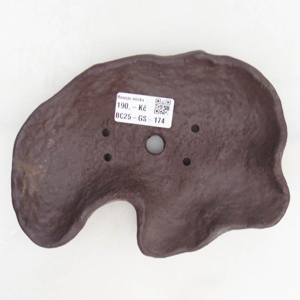 Keramisch Schelp 19 x 13,5 x 3,5 cm , kleur bruin