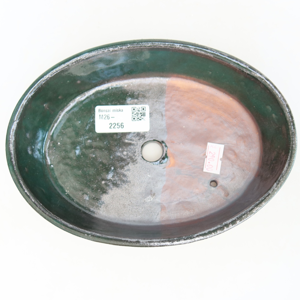 Keramische bonsaipot 18,5 x 13,5 x 4,5 cm, kleur groen