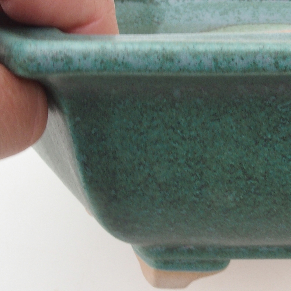 Bonsaischaal H53 - 19 x 21,5 x 7 cm - groen