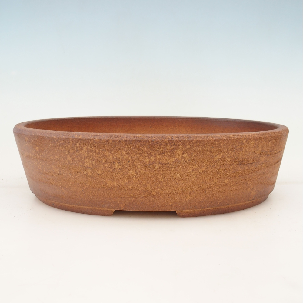 Bonsaischaal 32 x 25 x 8,5 cm , kleur bruin