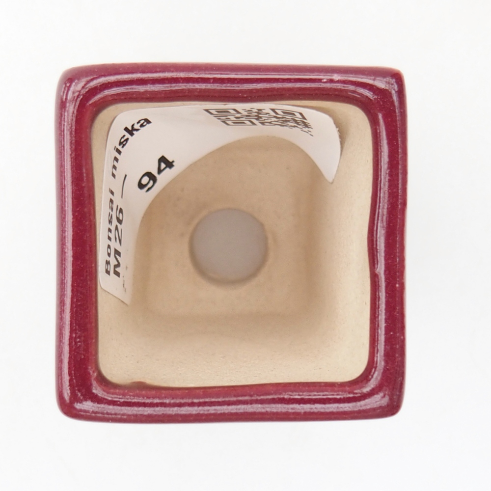 Mini bonsaischaal 3,5 x 3,5 x 5 cm, kleur bordeauxrood