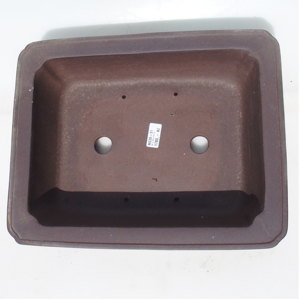 Bonsaischaal 42 x 33 x 10 cm - bruin