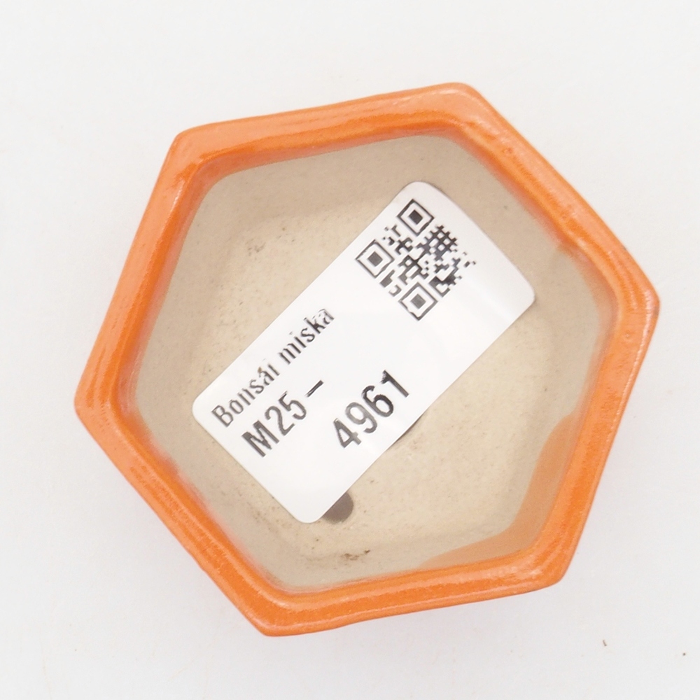 Mini bonsaischaal 6 x 5 x 2,5 cm, oranje