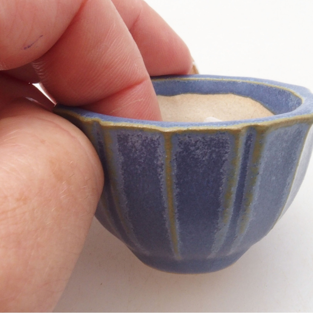 Mini bonsaischaal 5 x 5 x 3 cm, blauw