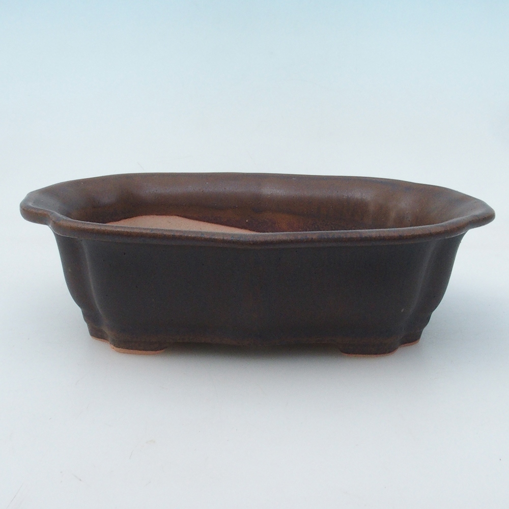 Bonsaischaal H51 - 18 x 14 x 5 cm - bruin