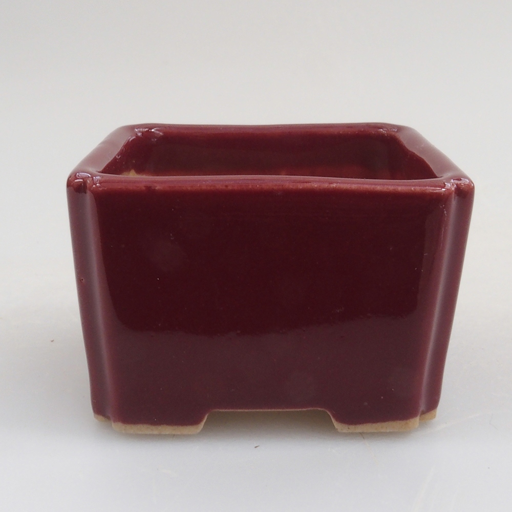 Mini bonsaischaal 4,5 x 4,5 x 3 cm, bordeauxrood