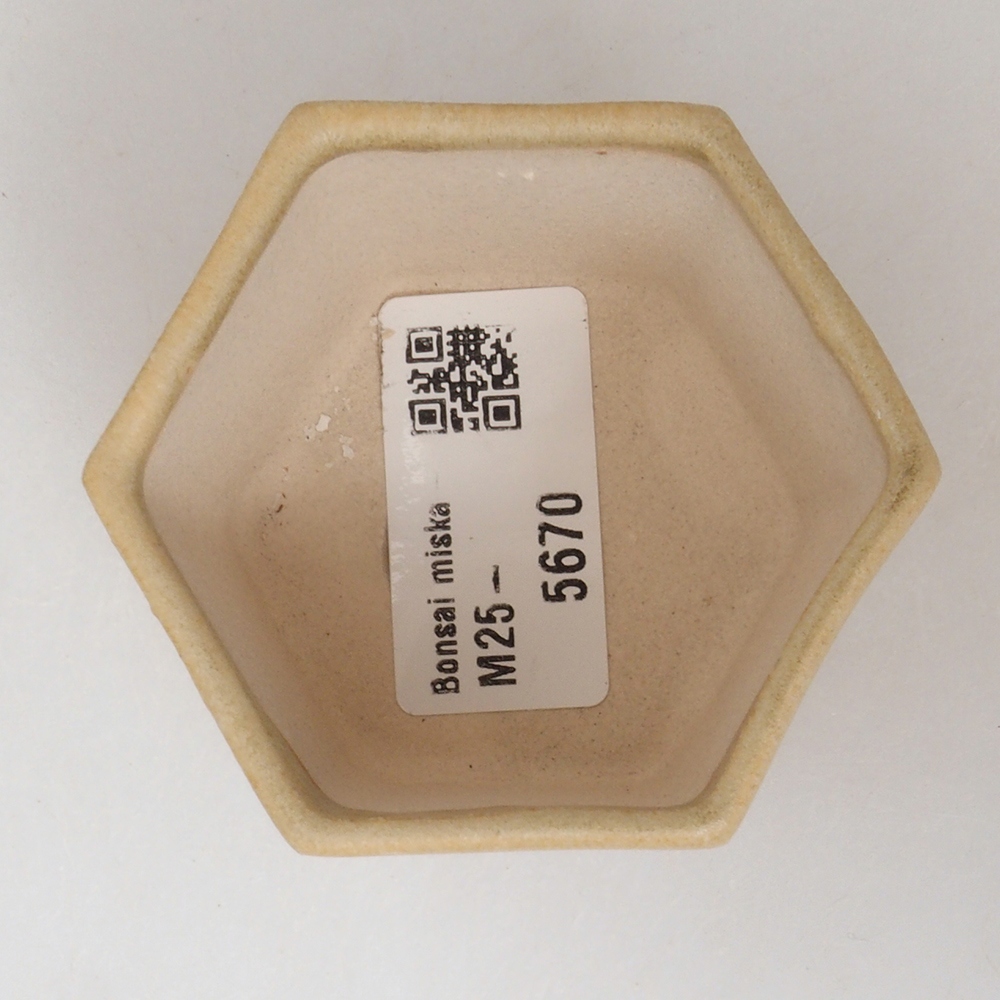 Mini bonsaischaal 7 x 5,5 x 4,5 cm, bruin