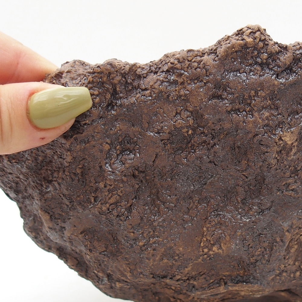 Keramisch Schelp 18 x 17,5 x 16 cm , kleur bruin