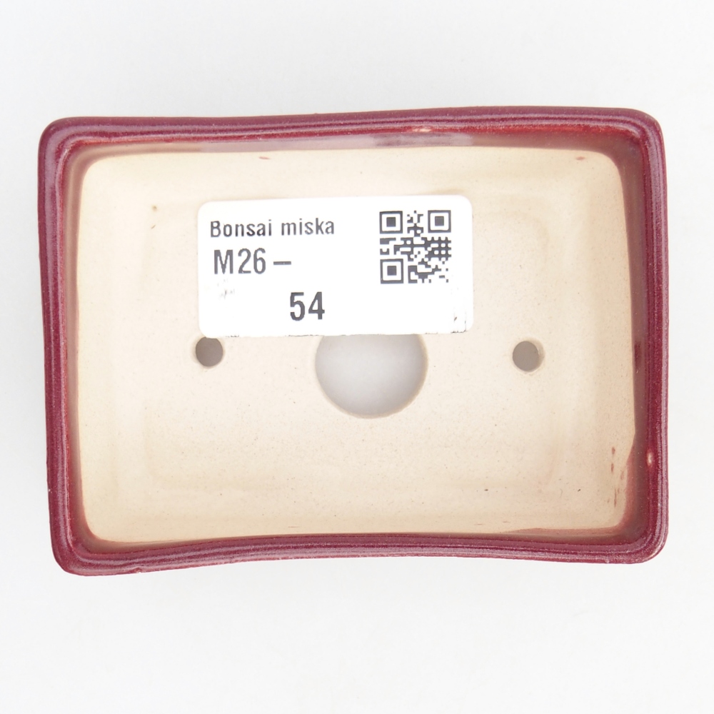 Mini bonsaischaal 8 x 6 x 2,5 cm, bordeauxrood