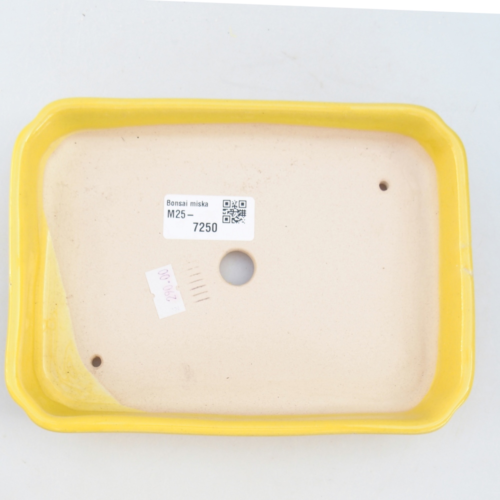 Bonsaischaal van keramiek 26 x 26 x 8 cm, kleur rood