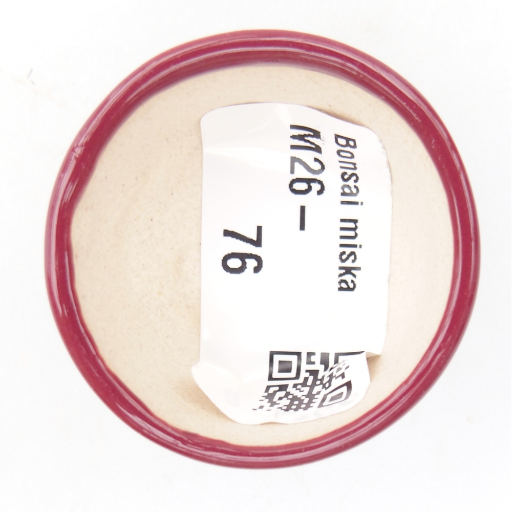 Mini bonsaischaal 4 x 4 x 2 cm, bordeauxrood