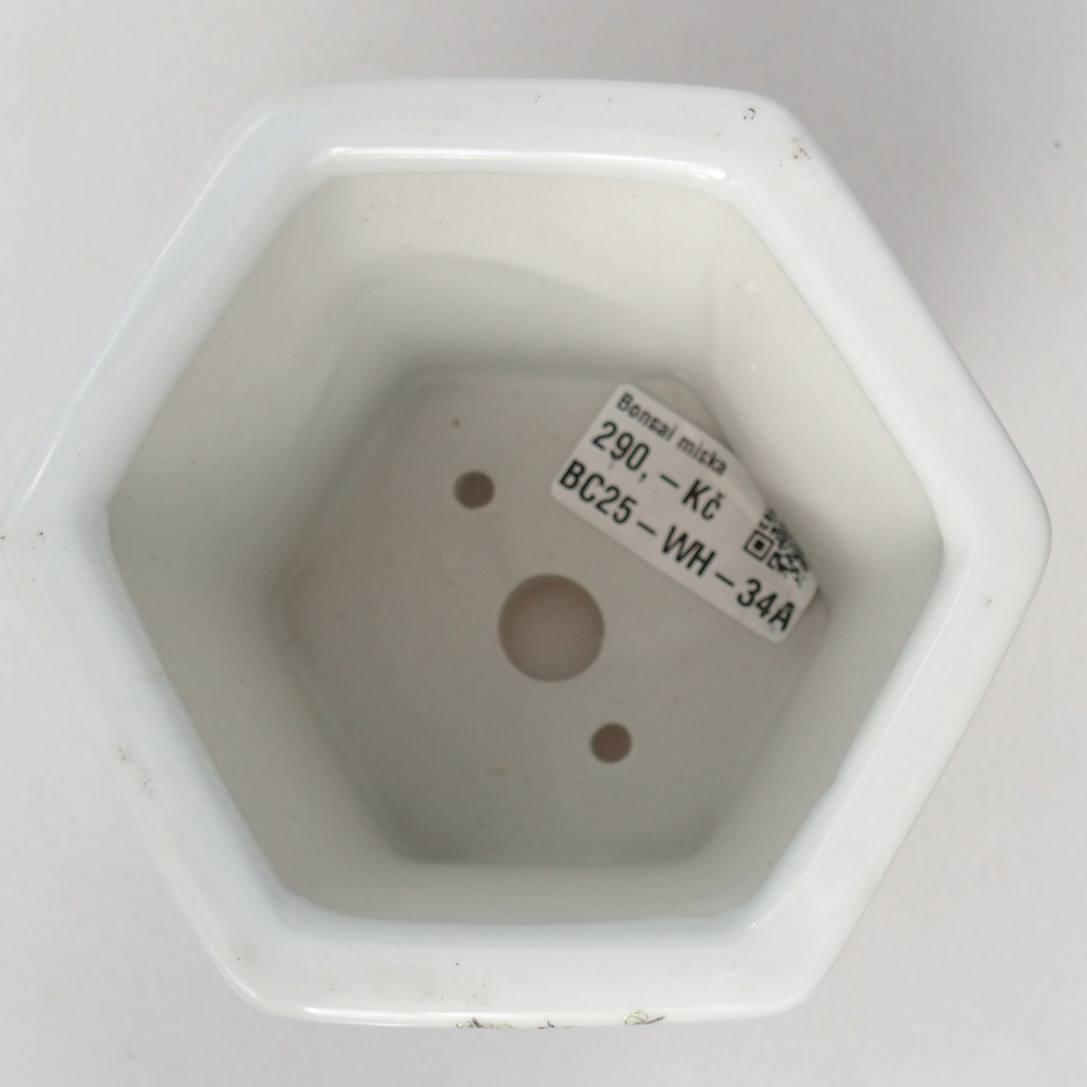 Bonsaischaal van keramiek 10,5 x 9,5 x 9 cm, kleur wit