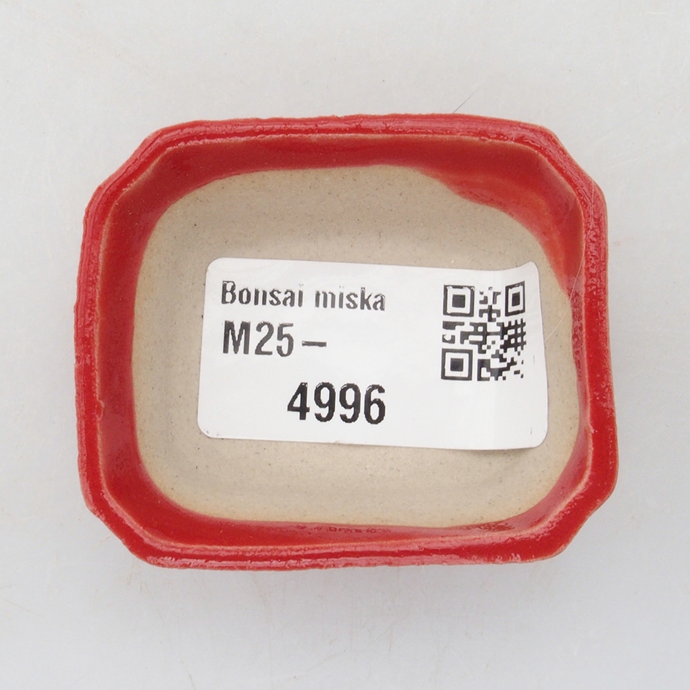 Mini bonsaischaal 5 x 4,5 x 2 cm, kleur rood