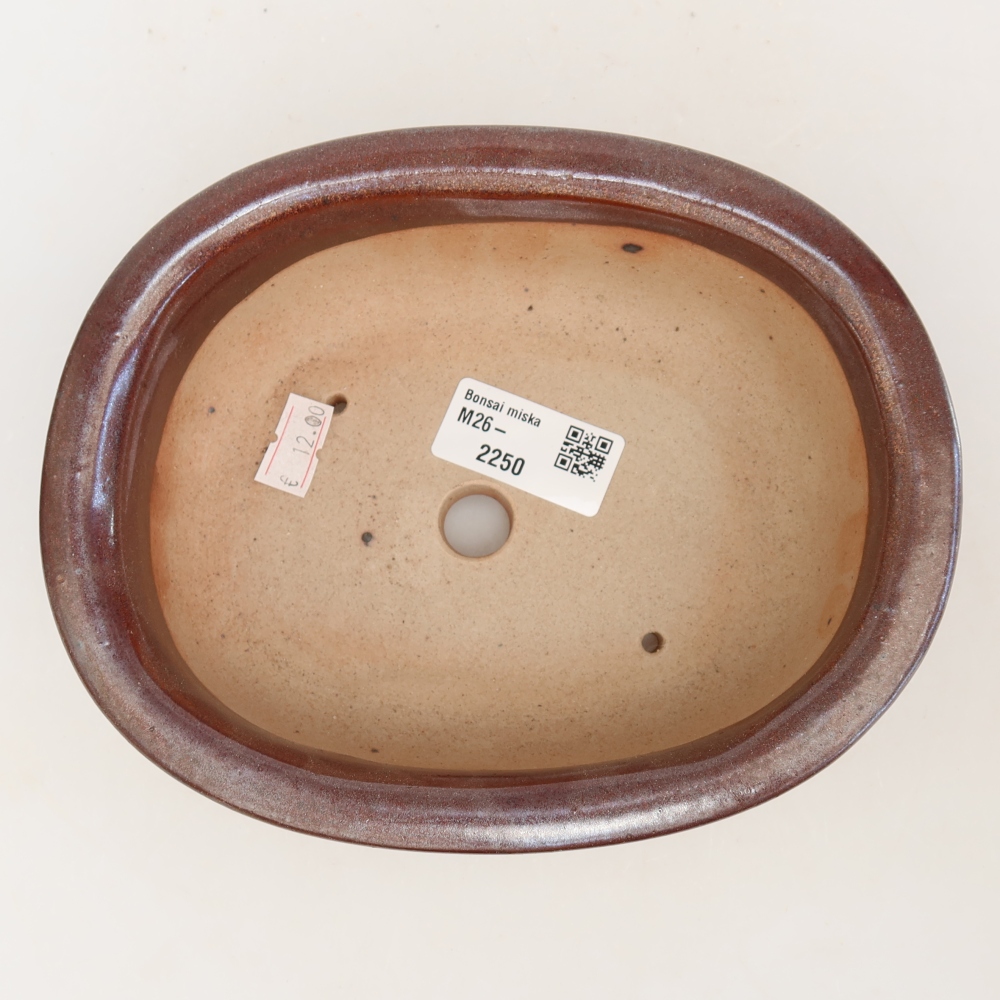 Keramische bonsaipot 18 x 14,5 x 5,5 cm, kleur bordeauxrood