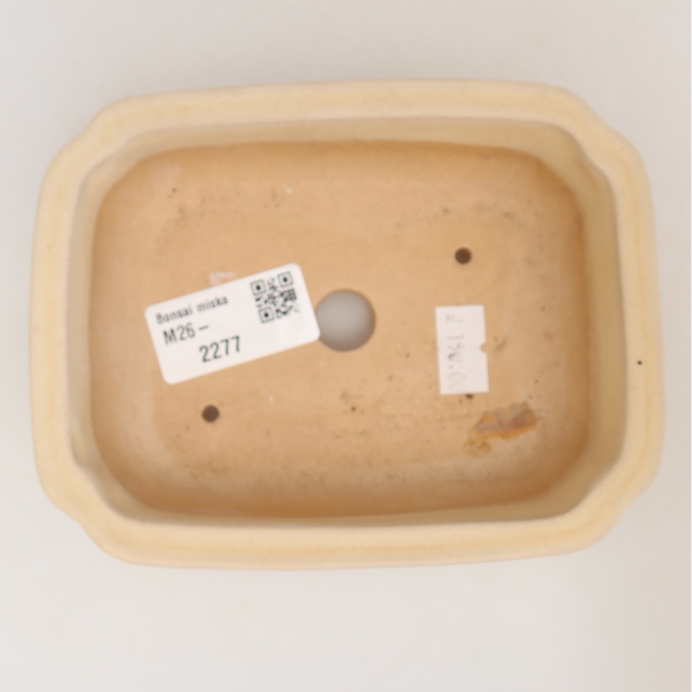 Bonsaischaal van keramiek 14 x 11 x 4 cm, kleur beige