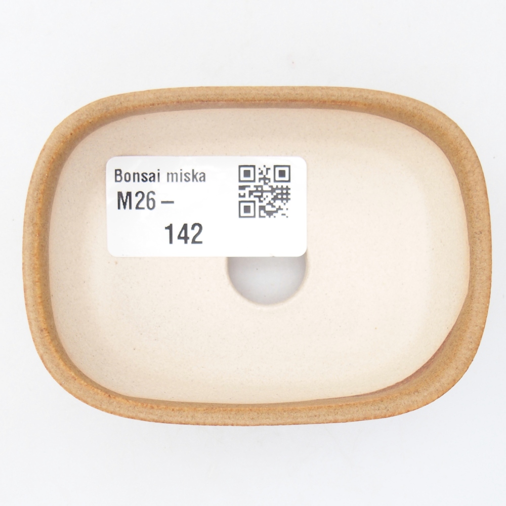 Mini bonsaischaal 8,5 x 6 x 2,5 cm, bruin