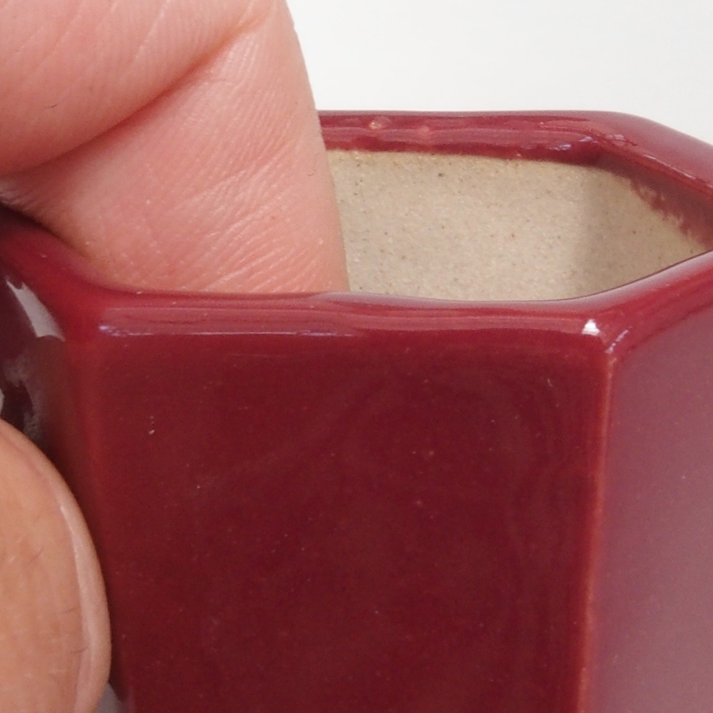 Mini bonsaischaal 4,5 x 4 x 6 cm, bordeauxrood