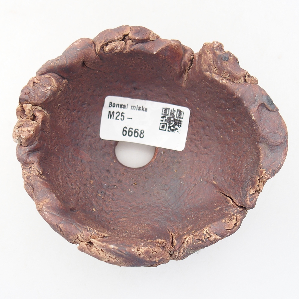 Keramisch Schelp 10 x 9 x 5,5 cm , kleur bruin