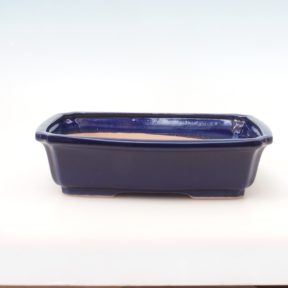 Bonsai kom H07 - 30 x 20,5 x 8 cm - blauw