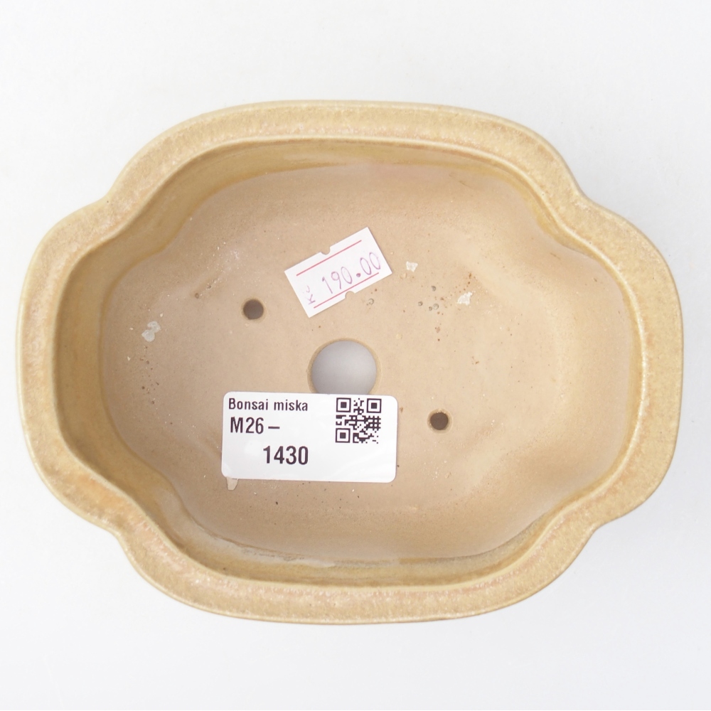 Bonsaischaal van keramiek 13 x 10 x 5 cm, kleur beige