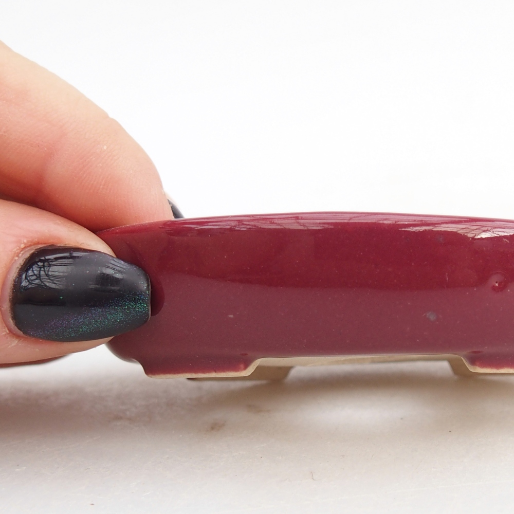 Mini bonsaischaal 8 x 6 x 2 cm, bordeauxrood