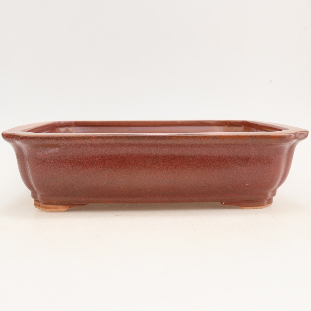 Keramische bonsaischaal 27,5 x 21,5 x 7 cm, kleur bordeauxrood