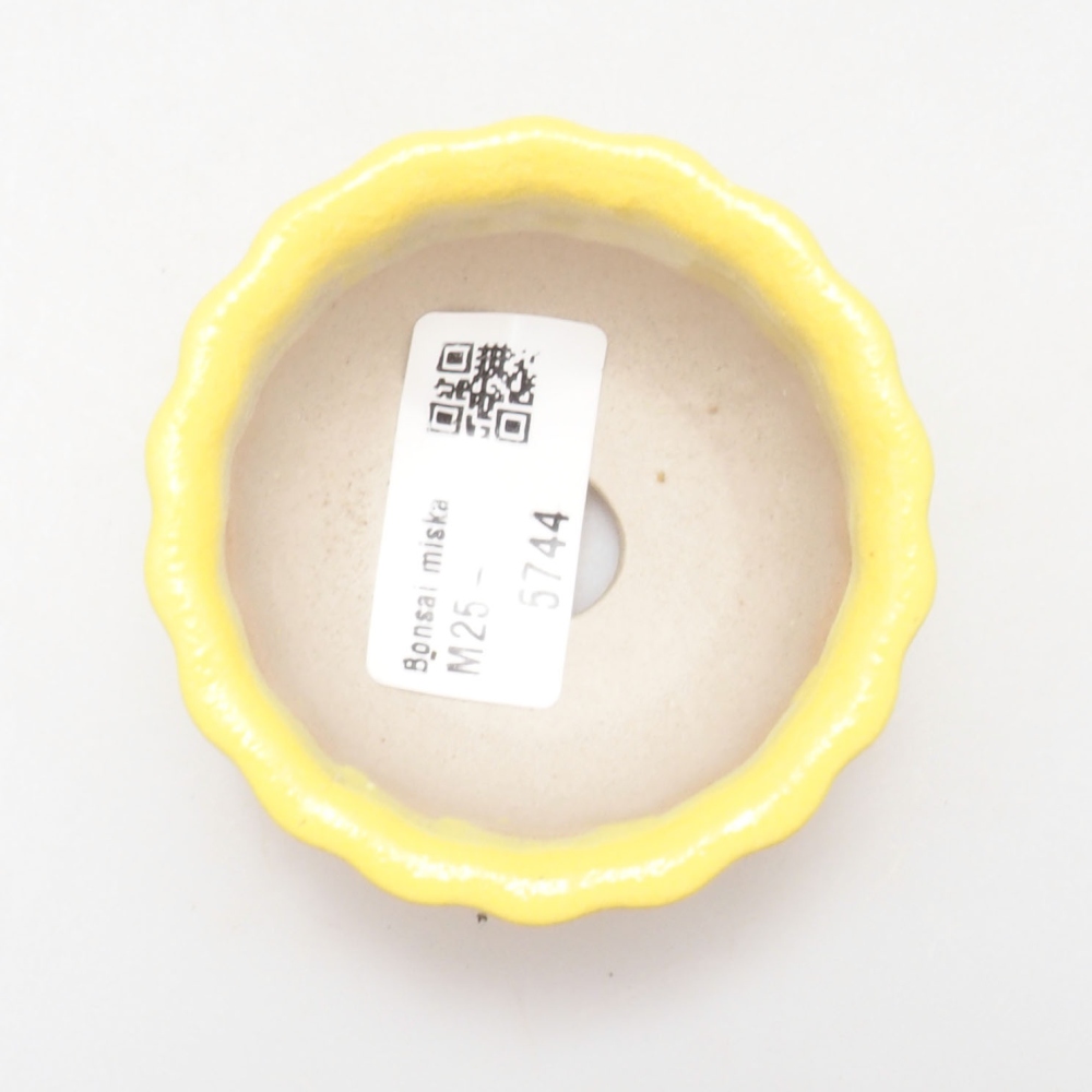 Bonsaischaal van keramiek 7 x 3 x 3,5 cm, geel
