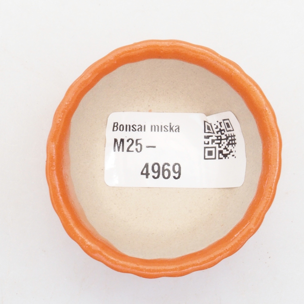 Mini bonsaischaal 5 x 5 x 2,5 cm, oranje