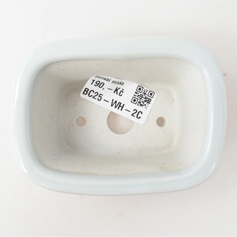 Mini bonsaischaal 10 x 7,5 x 4 cm, kleur wit