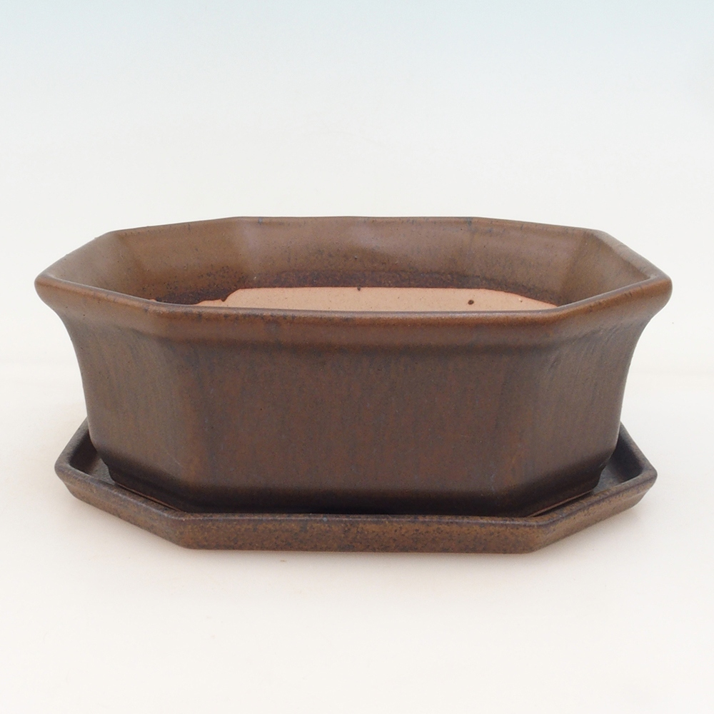 Bonsaischaal + schotel H14 - bruin