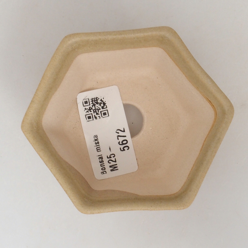 Mini bonsaischaal 8 x 7 x 4 cm, bruin