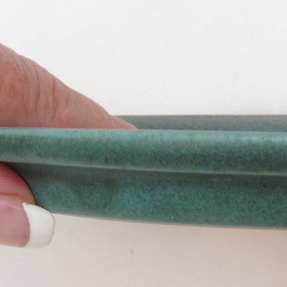 Bonsai ovalen schotel S - 20 x 16,5 x 1,5 cm - groen