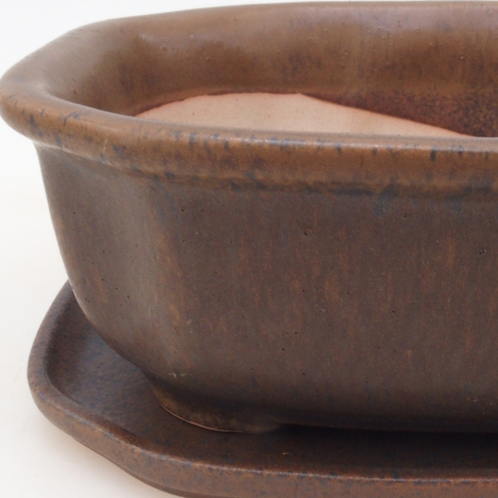 Bonsai kom + schotel H31 - bruin